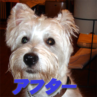アフター