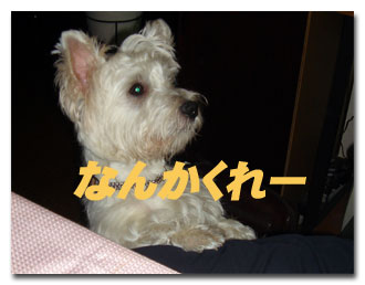 何かちょうだい