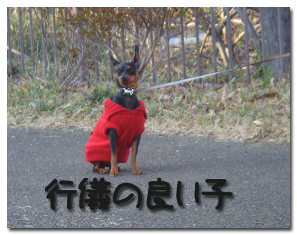 行儀の良い子