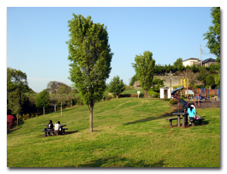中央公園全景