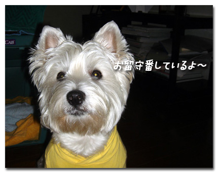 キキ留守番