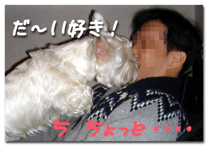 だ〜い好き
