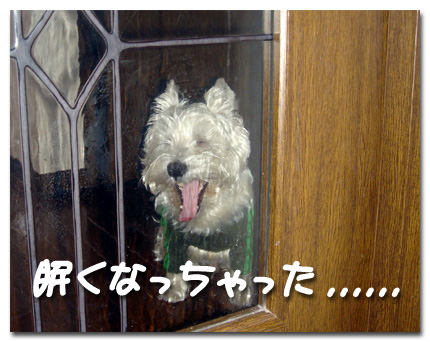 ねむ〜い