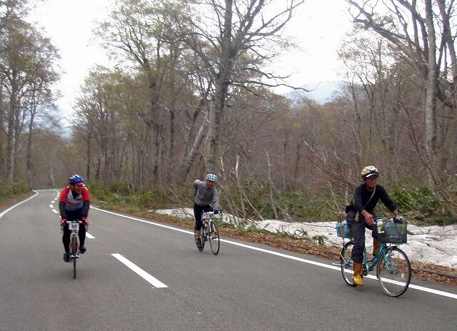 へ ば な 自転車
