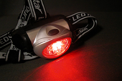 天体写真撮影用ledヘッドランプ 今日も気分は森の中