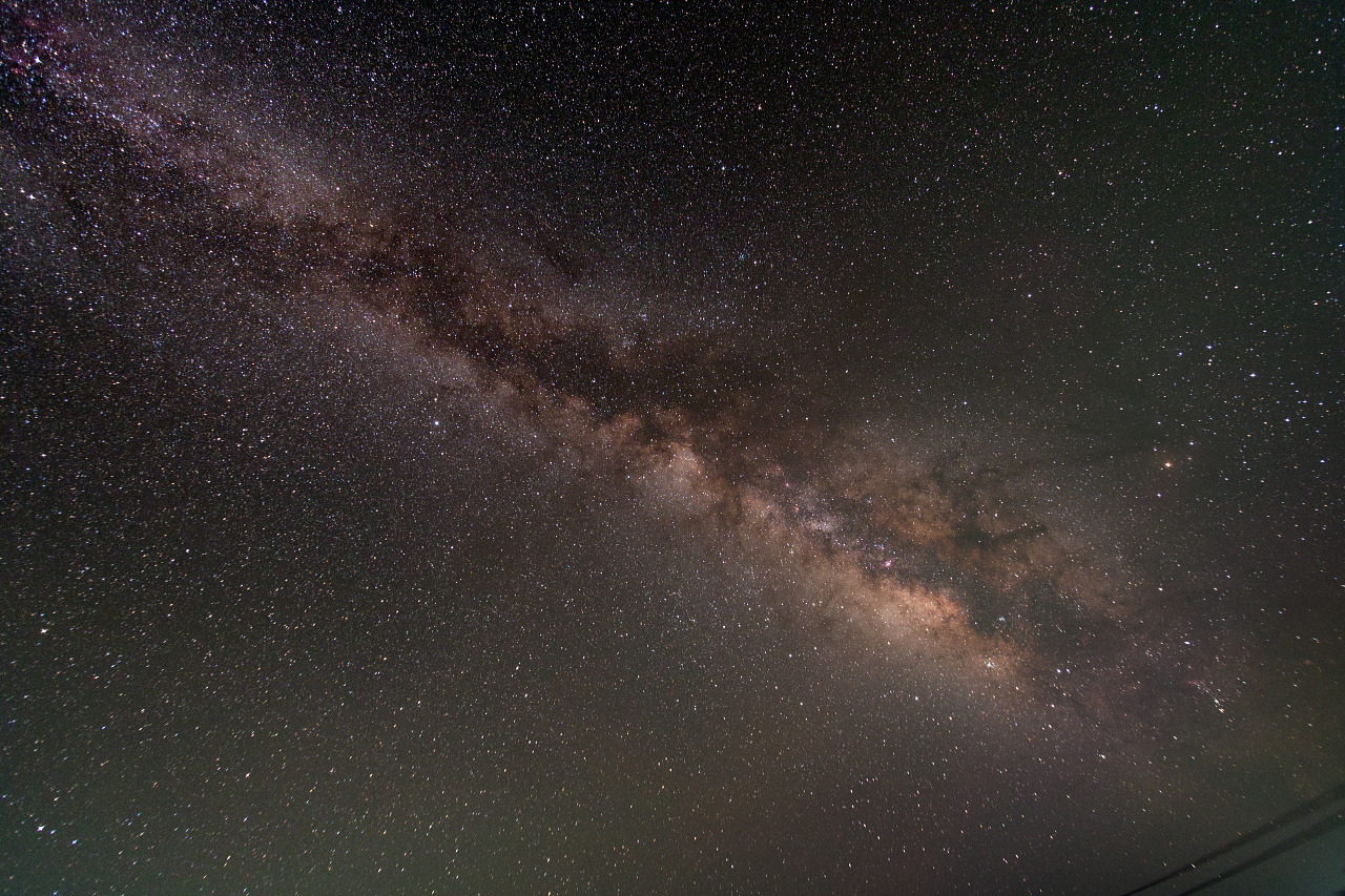 Tokina 11 16mm F2 8 今日も気分は森の中