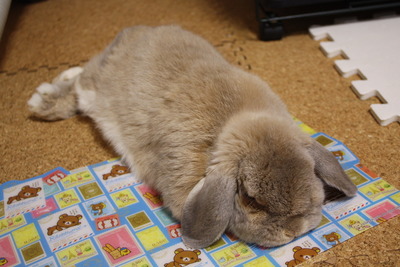 のび〜る