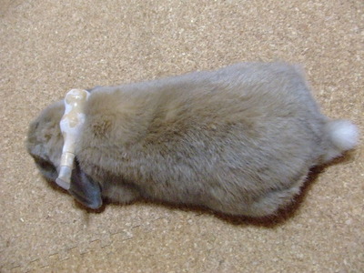 パピコ乗せ
