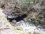 DSCF0555