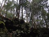 DSCF0557