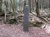 DSCF0553