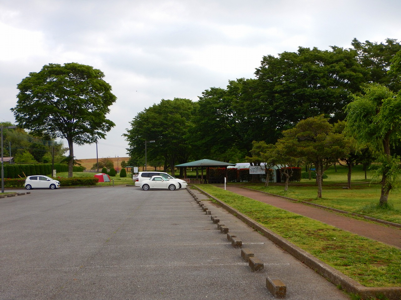 野田市スポーツ公園 W らんらんの日記帳 野田市スポーツ公園 W らんらんの日記帳