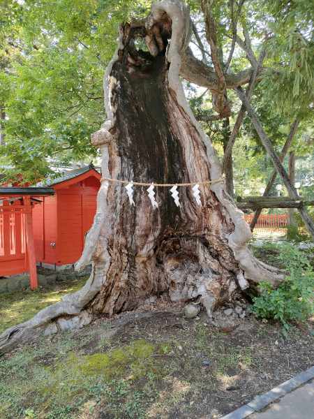 生島足島神社