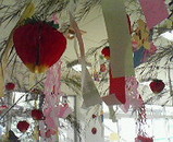 a06f3e16.jpg