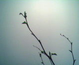 d3258760.jpg