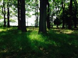 2014-06-14-13-45-41