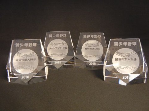 ☆【記念楯・トロフィー】カスタムメイドいたします♪☆