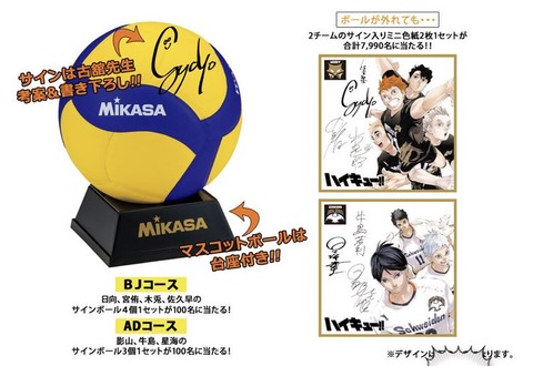 長野博さんきっかけで、漫画ハイキューのサイン入りミニ色紙が当たり