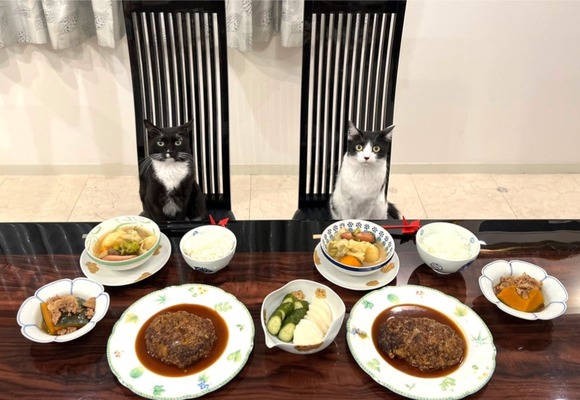 スクリーンショット 2022-11-25 153325