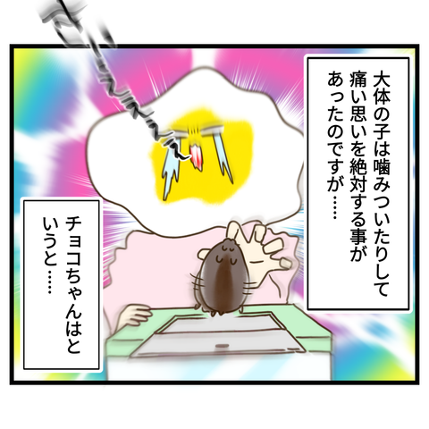 昔飼ってたハムスターの思い出④