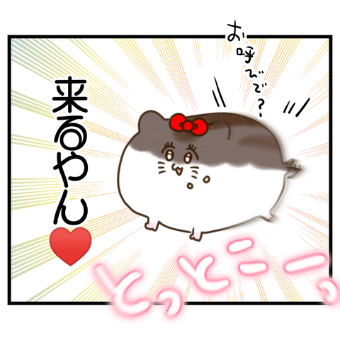 昔飼ってたハムスターの思い出③