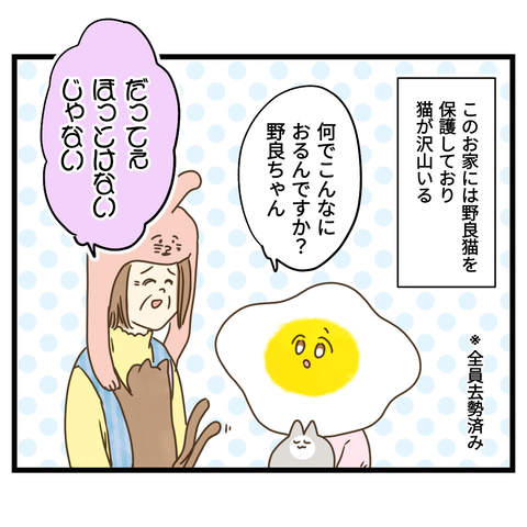 お茶飲み友達は７０歳③