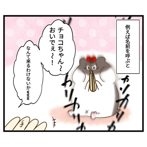 昔飼ってたハムスターの思い出②