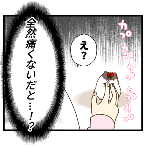 昔飼ってたハムスターの思い出⑥