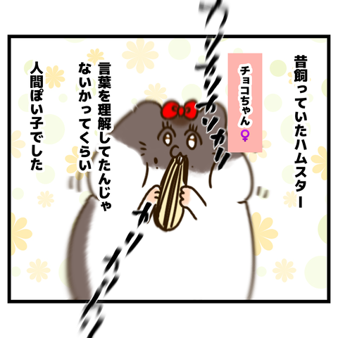 昔飼ってたハムスターの思い出①