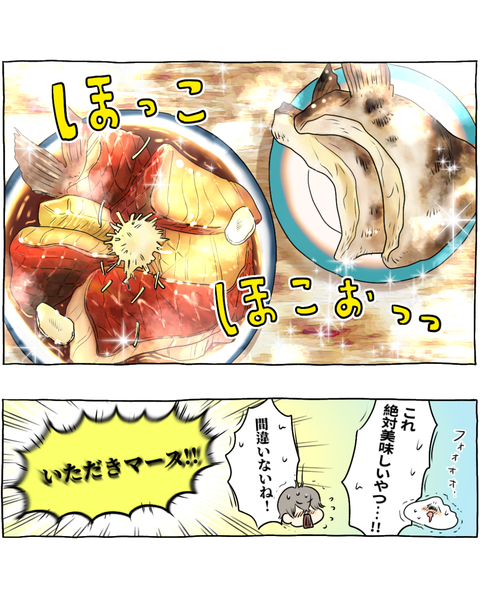 わが家のお魚事情インスタ・ブログ投稿用 (13)