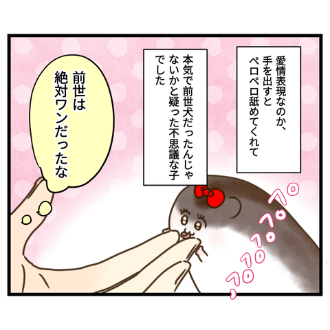 昔飼ってたハムスターの思い出⑨