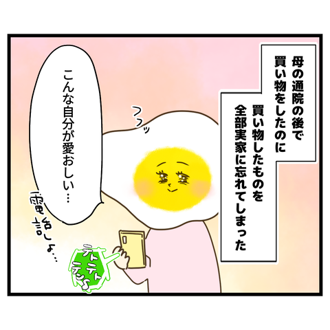 大体伝わらない母とのやりとり①