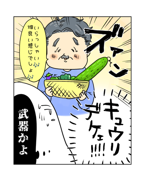 降臨！畑の聖者オジさん！ (インスタ・ブログ投稿用) (4)