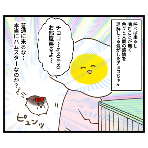 昔飼ってたハムスターの思い出⑧