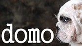 domomo