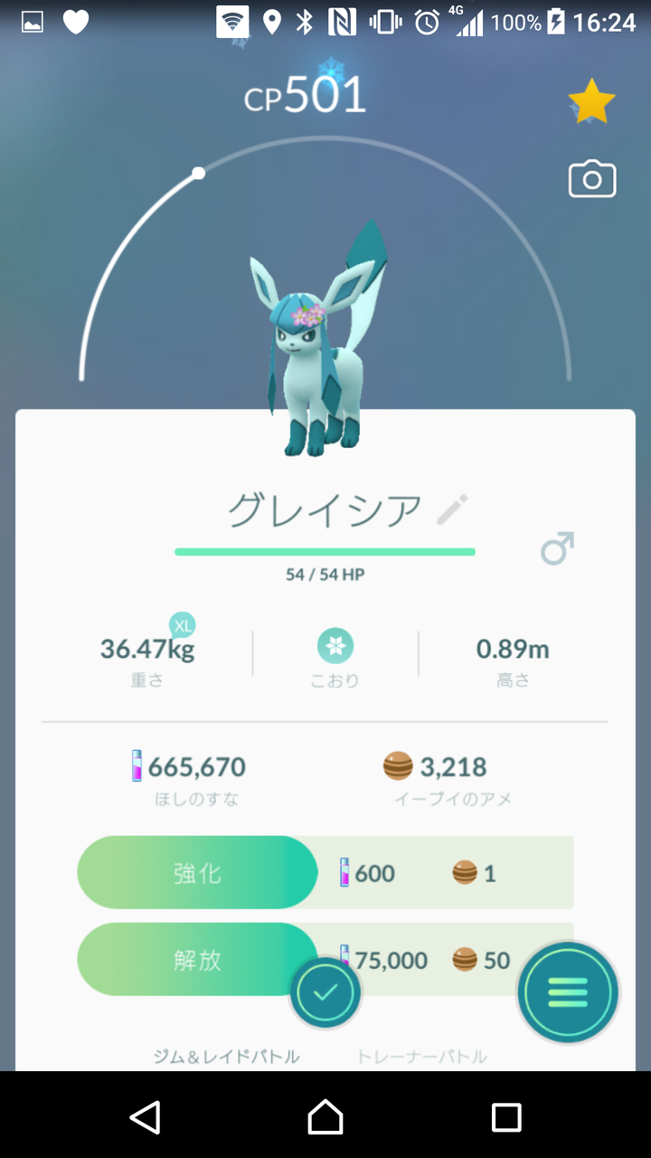 向陽飯店 本厚木店 为拉面服务 厚木