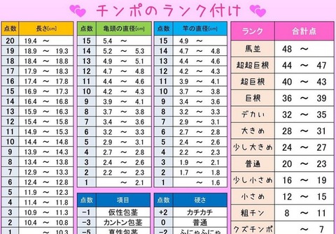添付C