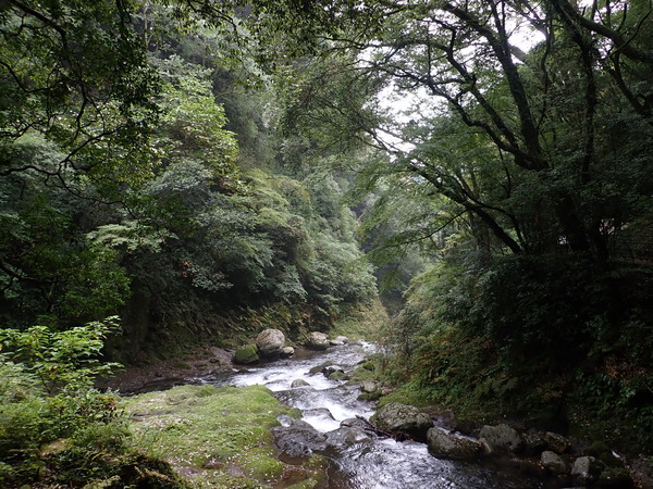 P9030393
