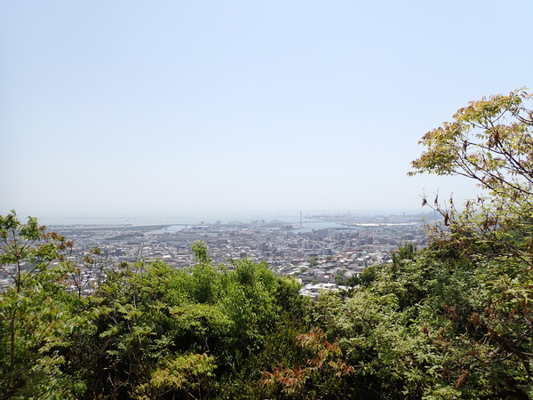 P4300482