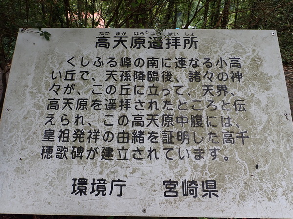 P9030451