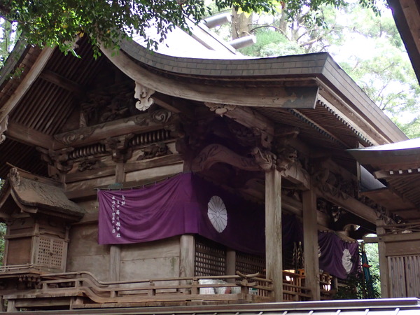 P9030501