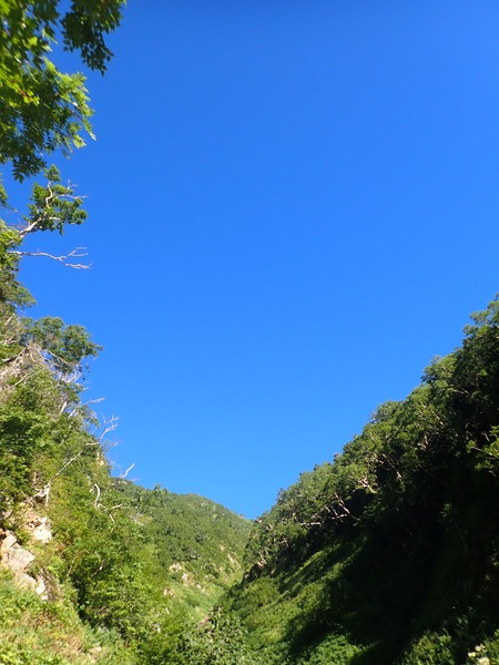 P9050349