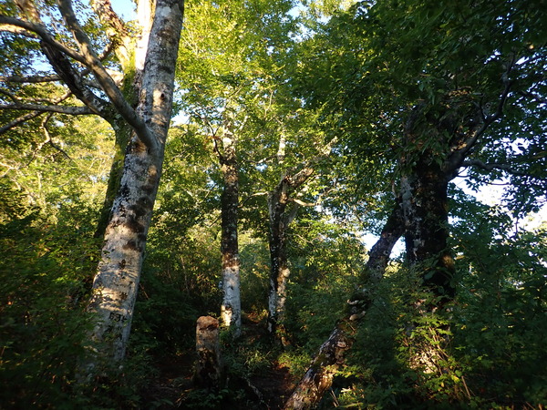 P9190022