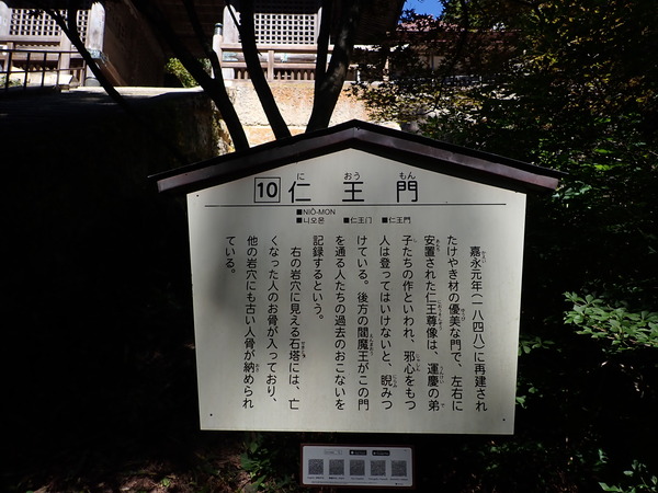 P9200294