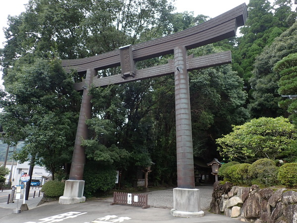 P9030478