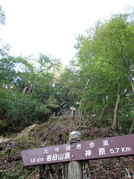 P9040621