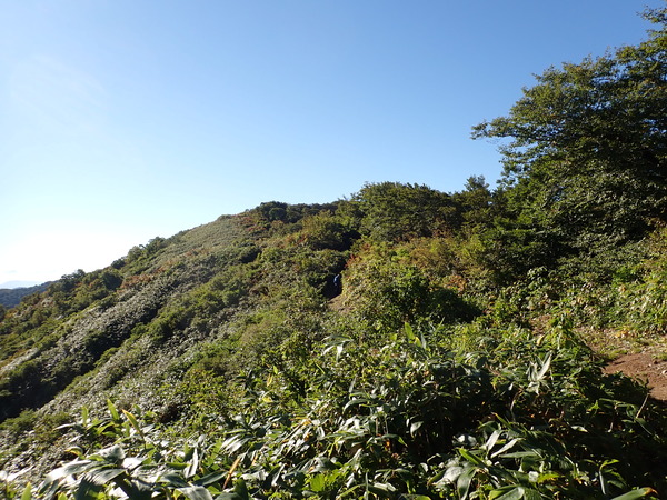 P9190033