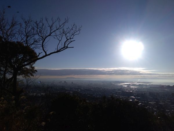 P_20190114_082033