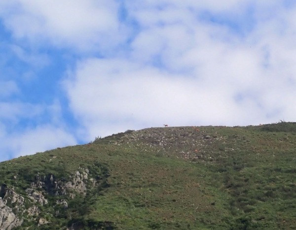 P8020311-3