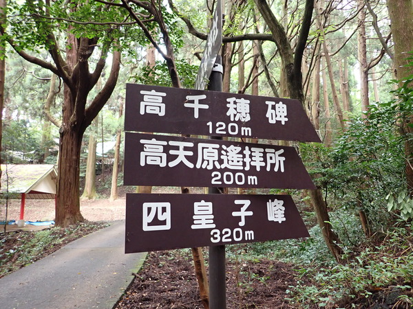 P9030447